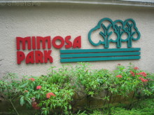 Mimosa Park #1047352